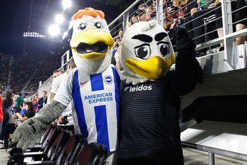 Mascot, Toy, Adult