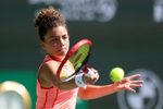 Ball, Sport, Tennis
