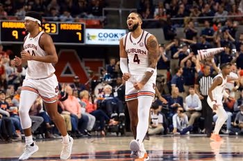 Clothing, Footwear, Shoe