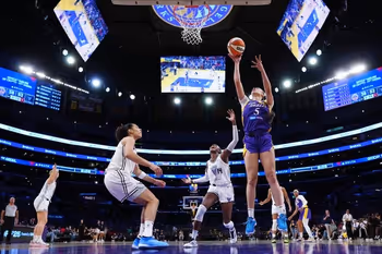 Adult, Female, Person