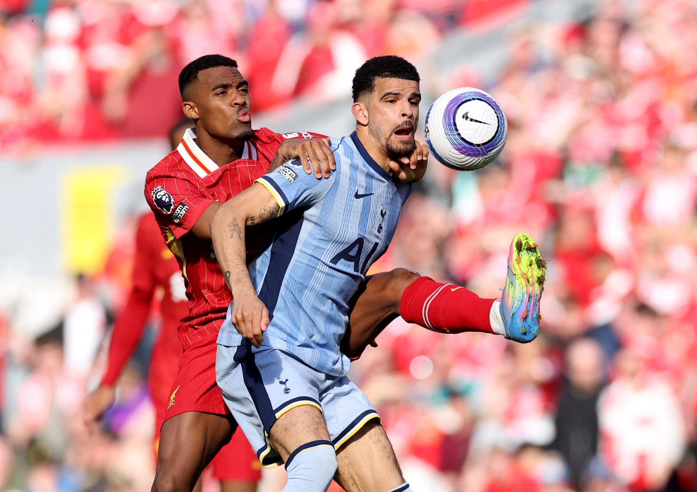 [US, Mexico & Canada customers only] April 27, 2025; Anfield, Liverpool, BRITAIN; Tottenham Hotspur player Dominic Solanke in action with Liverpool player Ryan Gravenberch in a Premier League match. Mandatory Credit: Phil Noble/Reuters via Imagn Images