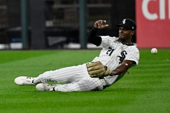 Aug 23, 2025; Chicago, Illinois, USA;  Chicago White Sox outfielder Michael A. Taylor (21) can’t make the play on the ball hit by Minnesota Twins catcher Ryan Jeffers (27) during the sixth inning at Rate Field. Mandatory Credit: Matt Marton-Imagn Images