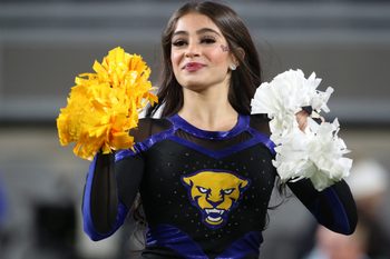 Flower, Flower Arrangement, Flower Bouquet