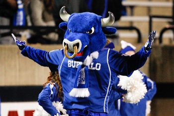 Mascot, Person, Clothing