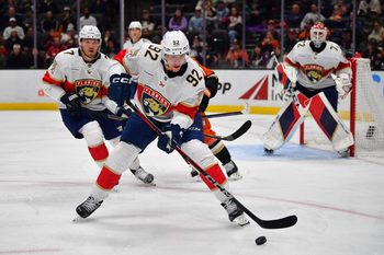 Jan 21, 2025; Anaheim, California, USA; Florida Panthers left wing Tomas Nosek (92) moves the puck against the Anaheim Ducks during the second period at Honda Center. Mandatory Credit: Gary A. Vasquez-Imagn Images