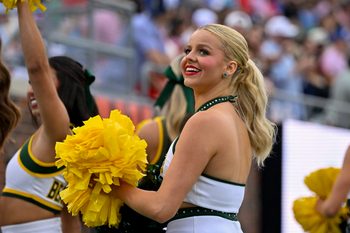 Flower, Flower Arrangement, Plant