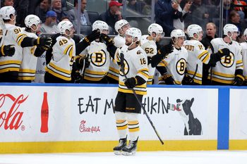 Nov 4, 2025; Elmont, New York, USA; Boston Bruins center Pavel Zacha (18) celebrates his goal against the New York Islanders with teammates during the second period at UBS Arena. Mandatory Credit: Brad Penner-Imagn Images