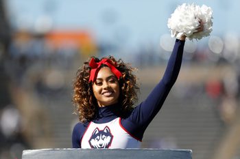 Flower, Flower Arrangement, Flower Bouquet