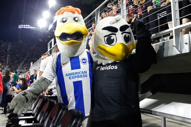 Mascot, Toy, Adult