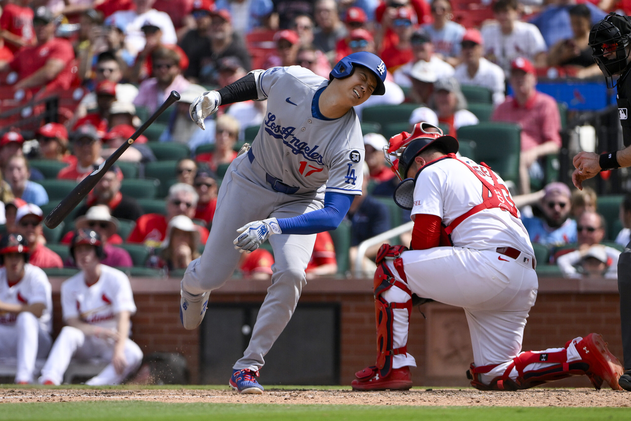 Jun 8, 2025; St. Louis, Missouri, USA;  Los Angeles Dodgers designated hitter Shohei Ohtani (17) reacts after he was hit by a pitch by St. Louis Cardinals relief pitcher Matt Svanson (not pictured) during the eighth inning at Busch Stadium. Mandatory Credit: Jeff Curry-Imagn Images