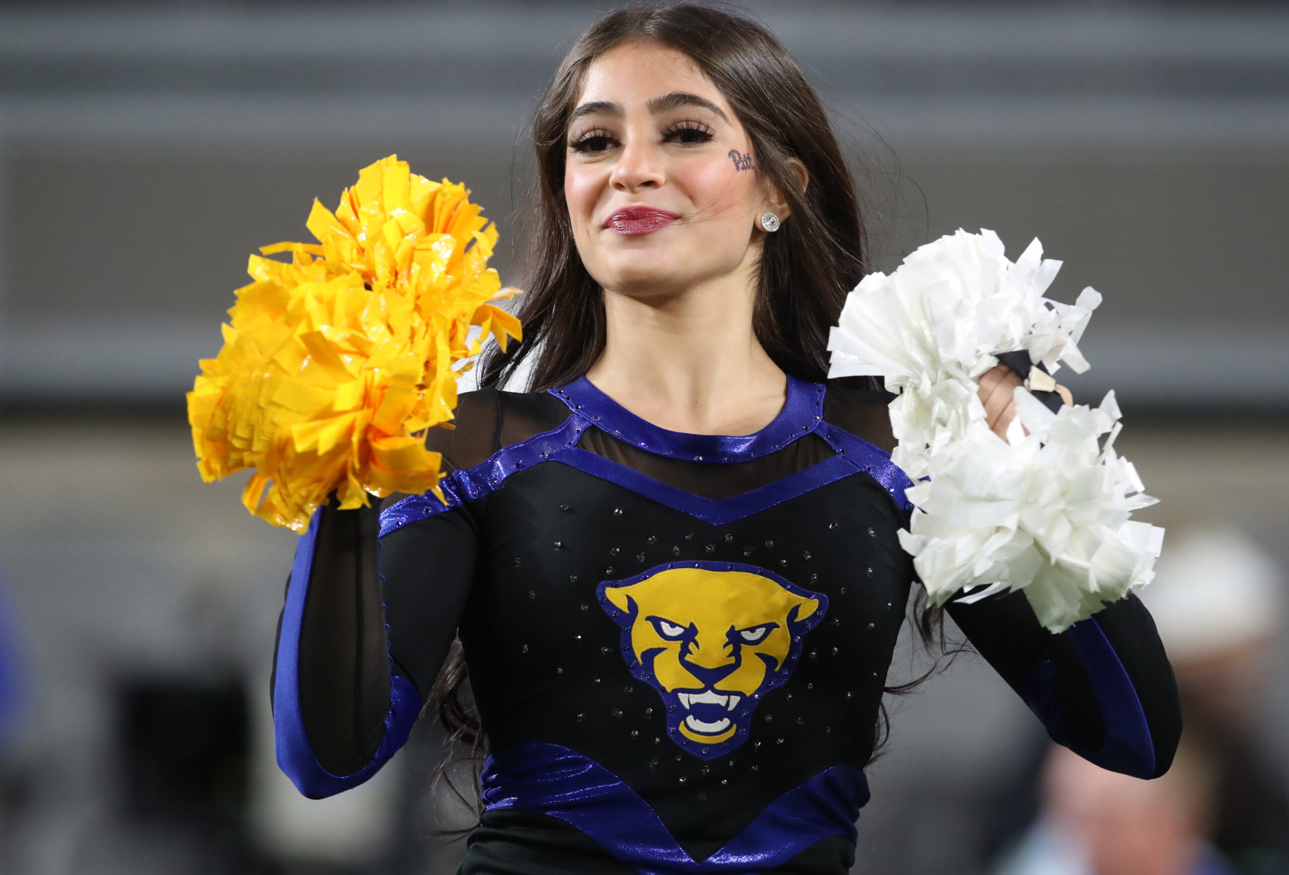 Flower, Flower Arrangement, Flower Bouquet