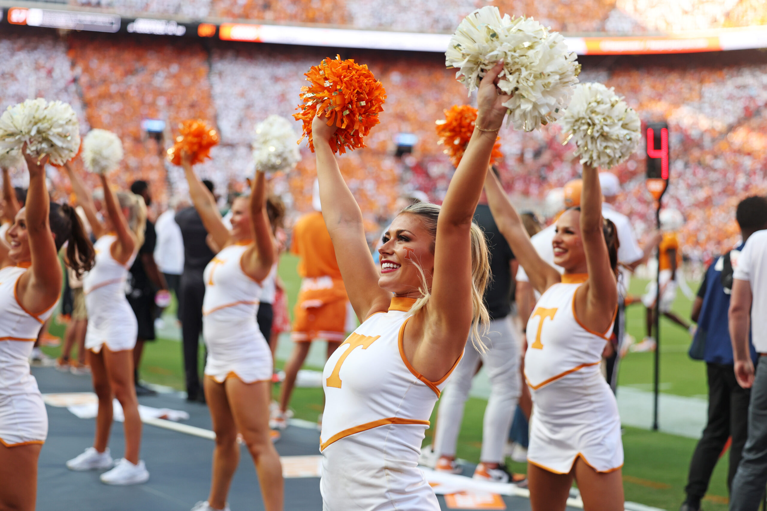 Clothing, Footwear, Shoe