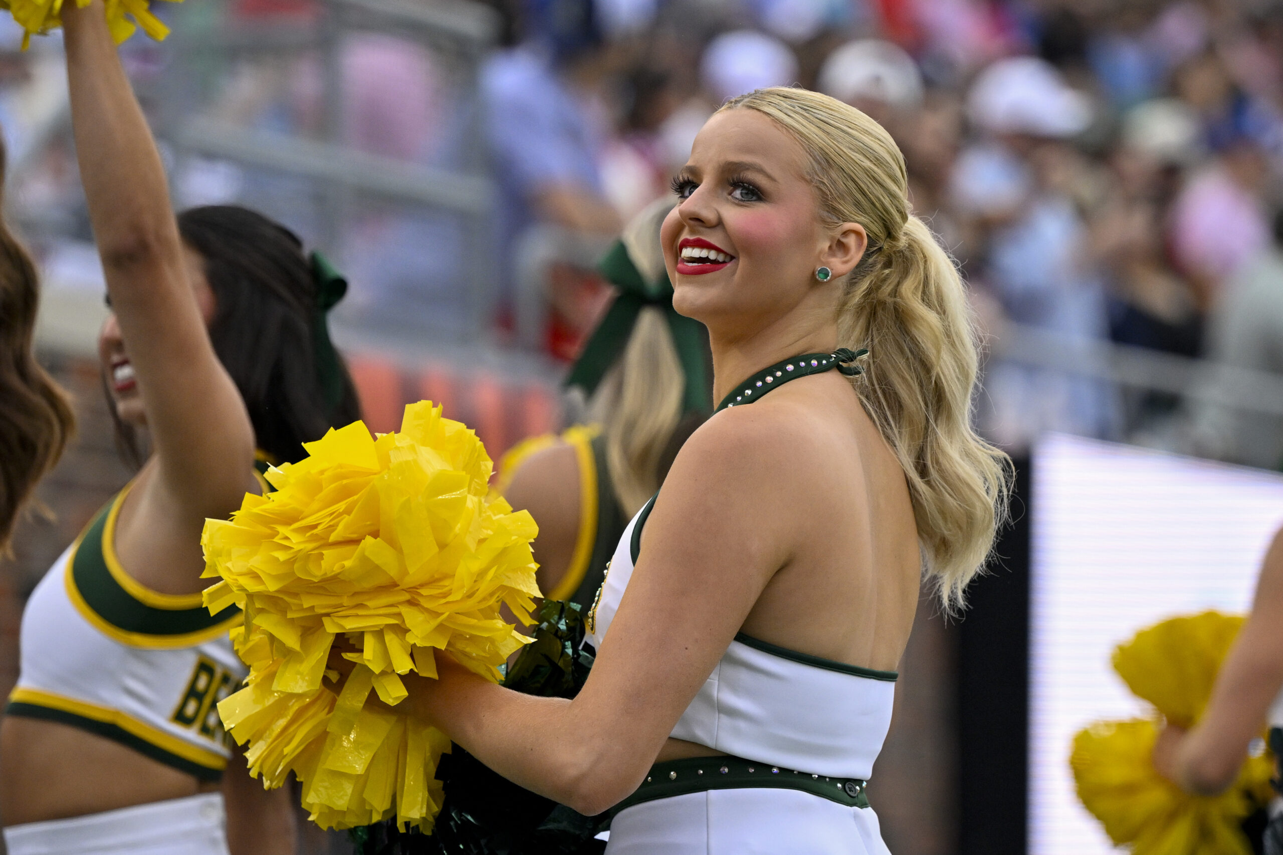 Flower, Flower Arrangement, Plant