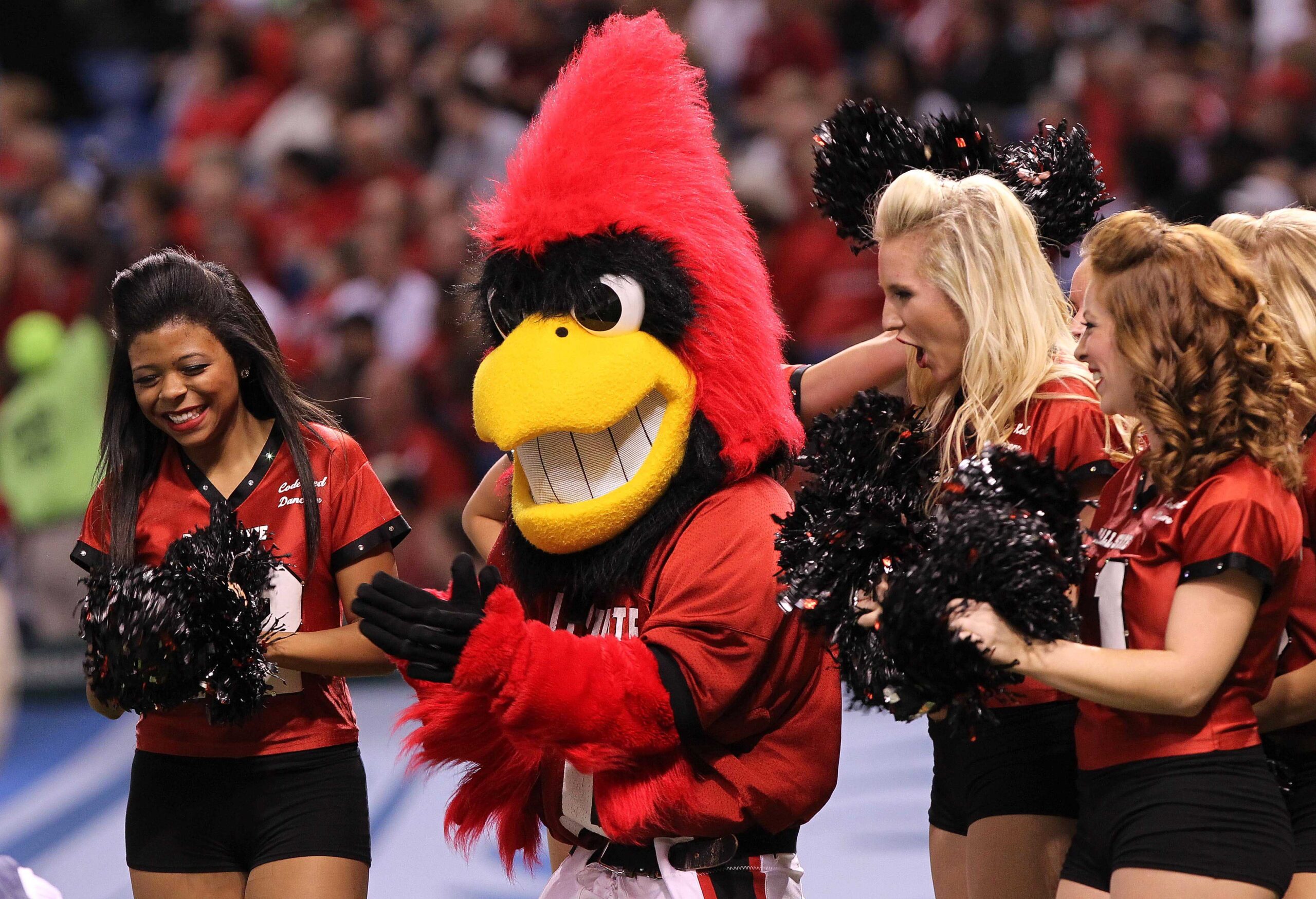 Clothing, Glove, Adult